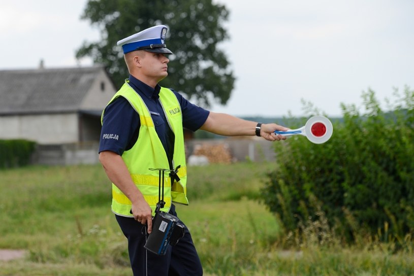 Policjanci postawią nacisk na pomiar prędkości /Adam Staśkiewicz /East News
