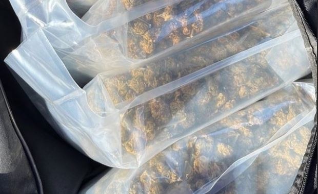 Policjanci przejęli 10 kg narkotyków