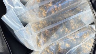 Policjanci przejęli 10 kg narkotyków