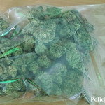 Policjanci przejęli 900 porcji marihuany