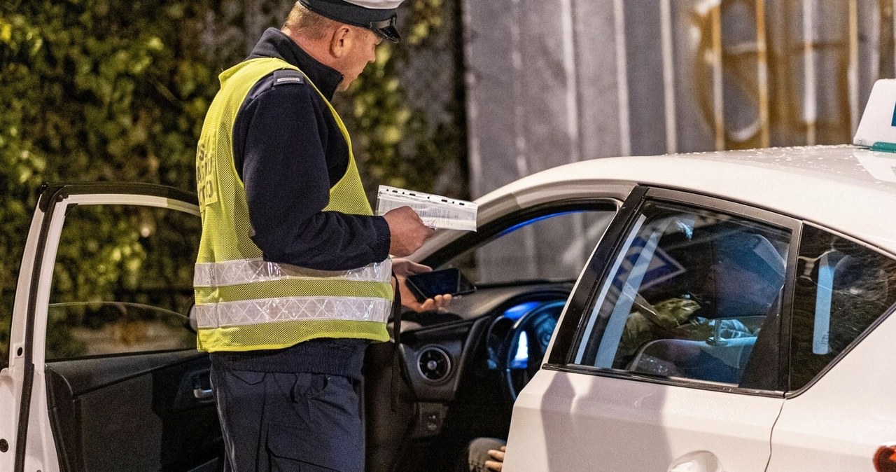 Policjanci regularnie kontrolują między innymi przewoźników na obecność narkotyków. /News Lubuski /East News