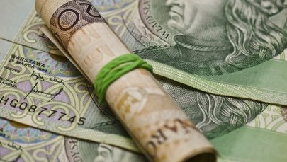 Policjanci rozbili grupę wyłudzającą kredyty. Straty to ponad milion złotych