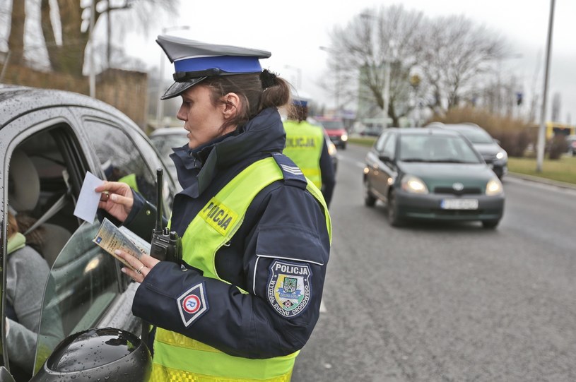 Policjanci sprawdzać będą jedynie prawo jazdy /Piotr Jędzura /Reporter
