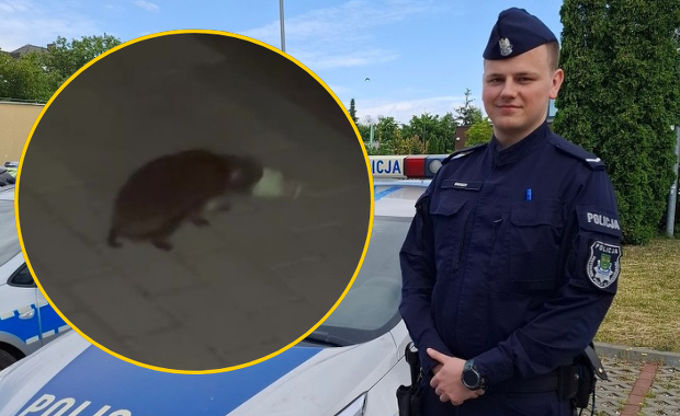 Policjanci uratowali sympatycznego jeża