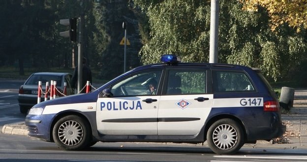 Policjanci wciąż lubią chować się "w krzakach" /INTERIA.PL