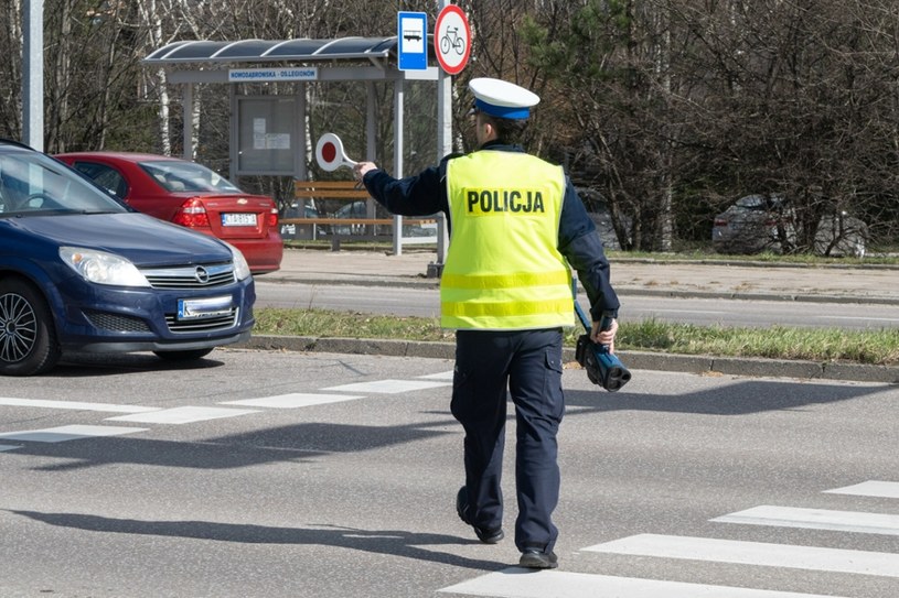 Policjanci wlepiali punkty na 24 miesiące, a one znikną po 12 /Fot. Tadeusz Koniarz/REPORTER /East News