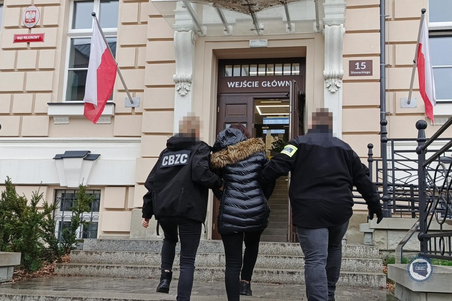 Policjanci z opolskiego Centralnego Biura Zwalczania Cyberprzestępczości rozbili gang zajmujący się internetową sprzedażą leków o możliwych ubocznych skutkach poronnych. /Policja CBZC /