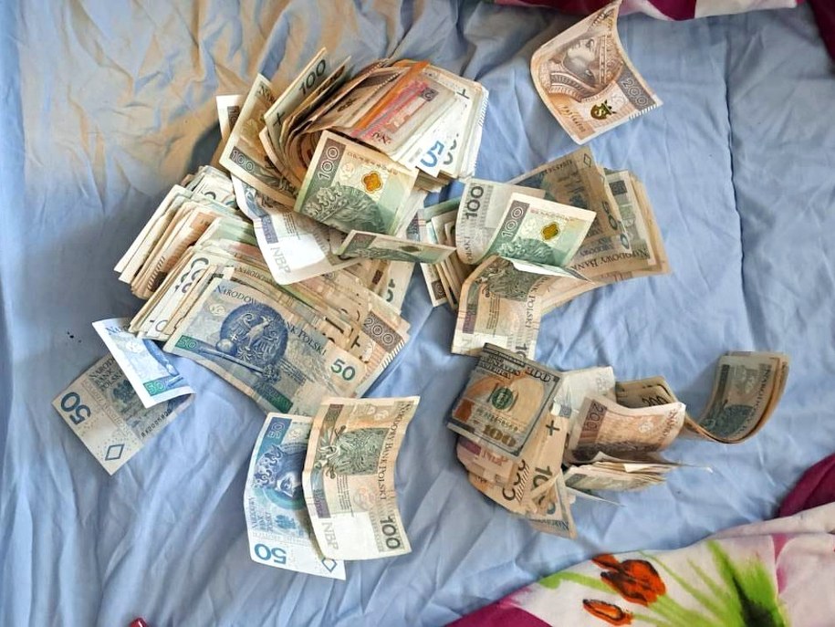Policjanci zabezpieczyli m.in. 170 tys. zł w gotówce /Policja