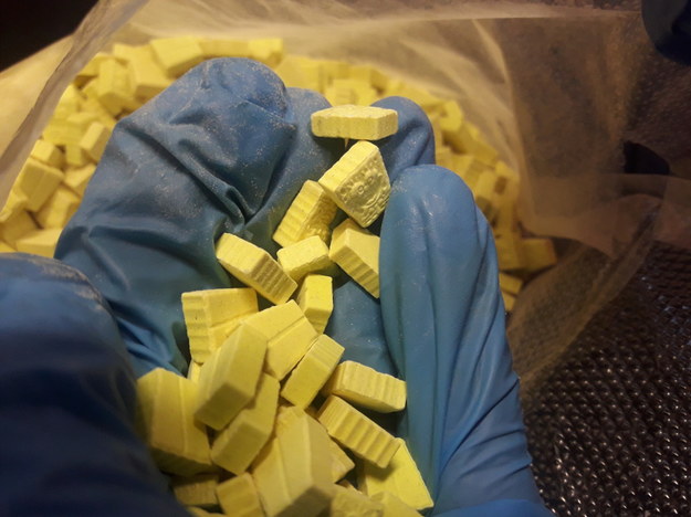 Policjanci zabezpieczyli ponad tysiąc tabletek ecstazy /Policja