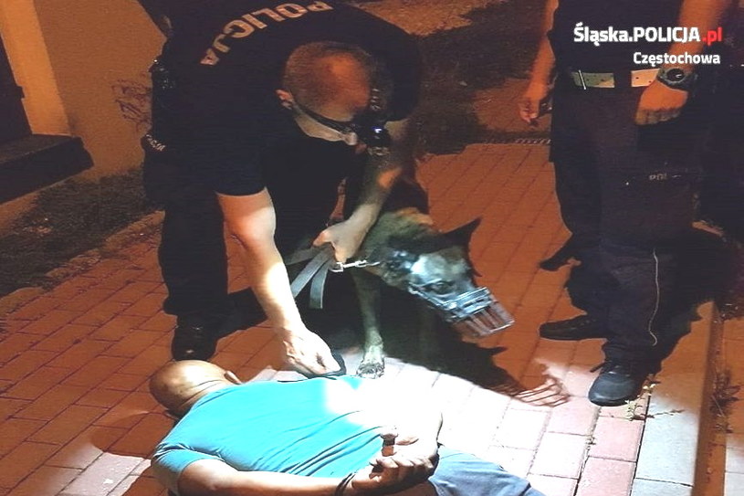 Policjanci zatrzymali 140 sprawców kradzieży /Informacja prasowa