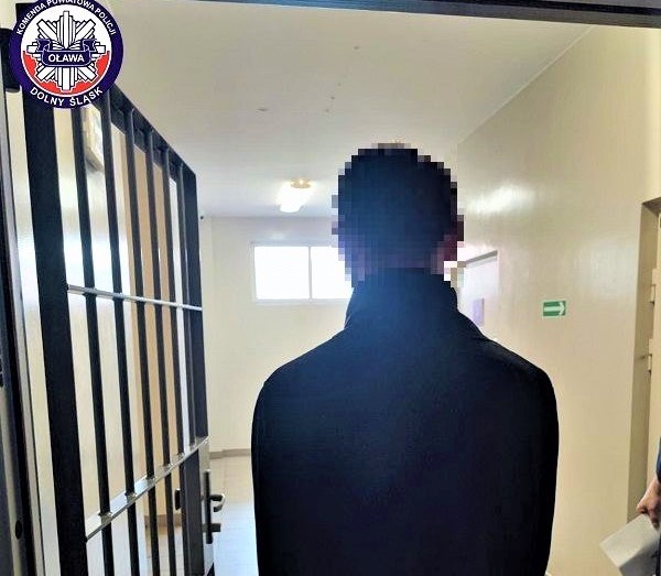 Policjanci zatrzymali 33-letniego mężczyznę, który zaatakował na SOR-ze lekarza i ratownika medycznego /Policja