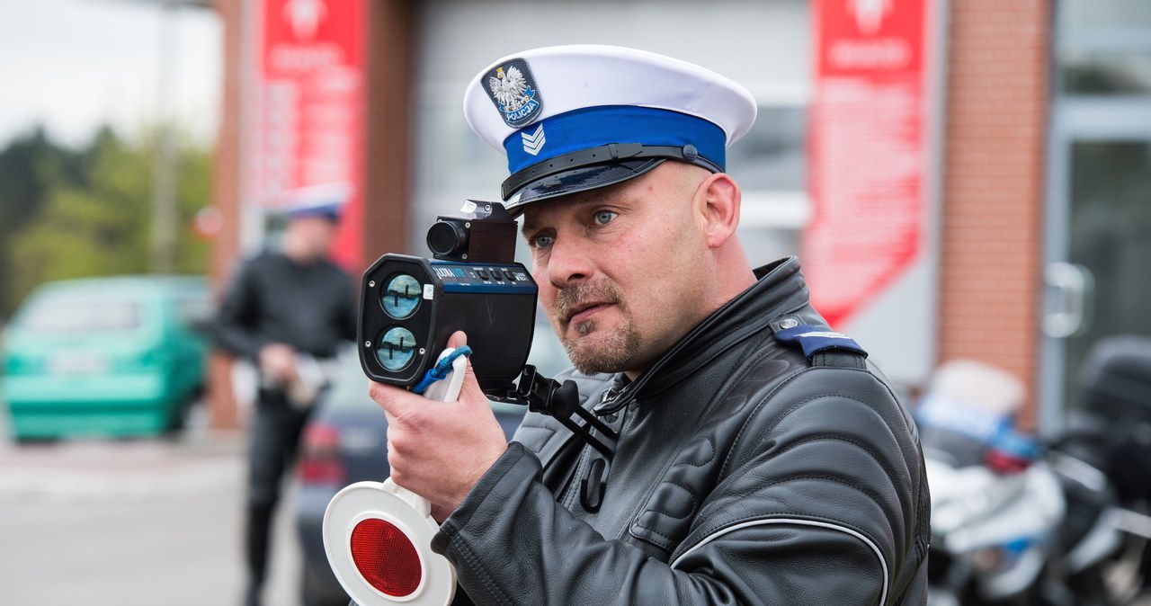 Policjanci zatrzymali już ponad 33 tys. praw jazdy /Paweł Skraba /Reporter