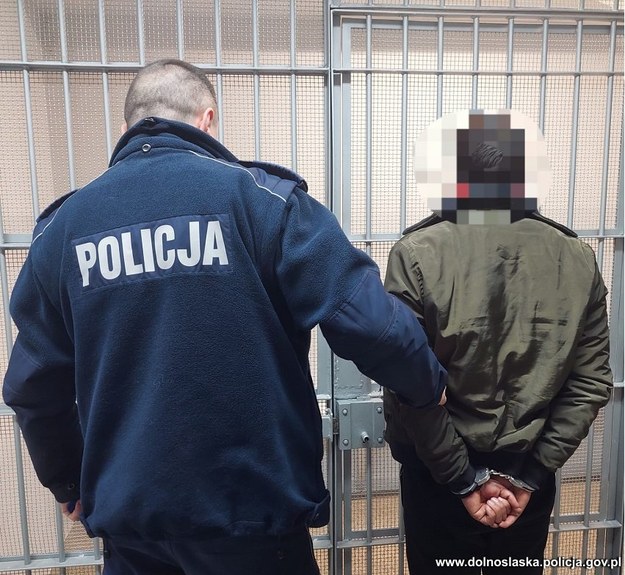 Policjanci zatrzymali nielegalnych imigrantów i ich przewoźnika /Dolnośląska Policja /Policja