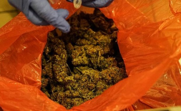 Policjanci znaleźli 250 kilogramów narkotyków. Były warte kilkanaście milionów