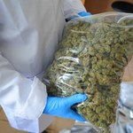 Policjanci znaleźli 6 kg marihuany. To miała być rutynowa kontrola