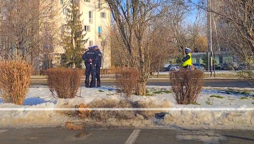 Policjanci zwracają szczególną uwagę, czy piesi nie wchodzą wprost pod samochody, czego - również na przejściach - robić im nie wolno /INTERIA.PL