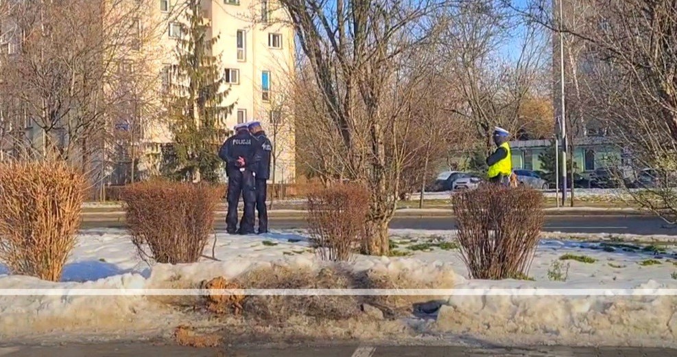 Policjanci zwracają szczególną uwagę, czy piesi nie wchodzą wprost pod samochody, czego - również na przejściach - robić im nie wolno /INTERIA.PL