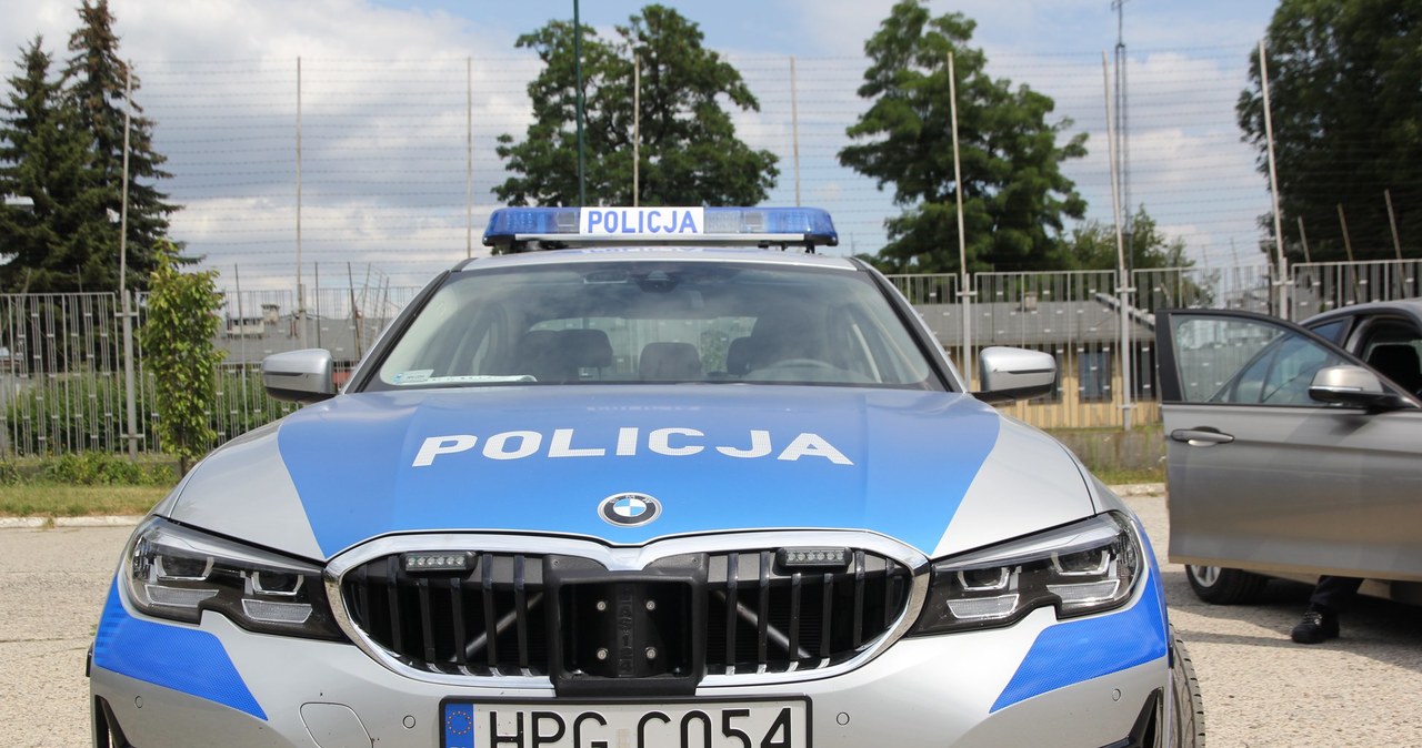 Policjancji będą używali oznakowanych i nieoznakowanych BMW /Policja