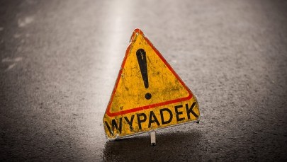 Policjant próbował pomóc kierowcy, który wjechał do rowu. Został śmiertelnie potrącony