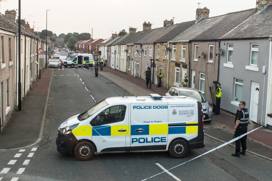 Policjant skazany za kradzież bielizny podczas służby /Shutterstock