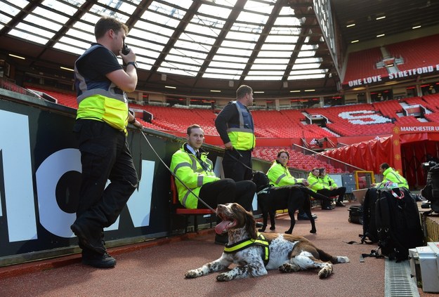Policyjne psy na stadionie Manchesteru United /PETER POWELL   /PAP/EPA