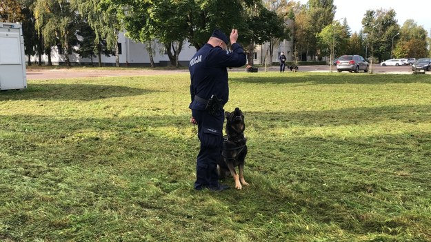 Policyjne psy na szkoleniu /Agnieszka Wyderka /RMF FM