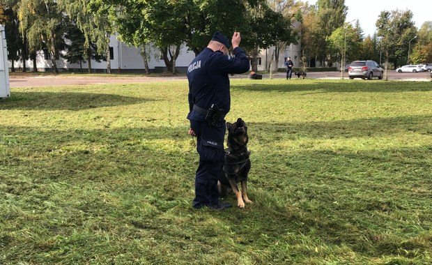 Policyjne psy na szkoleniu