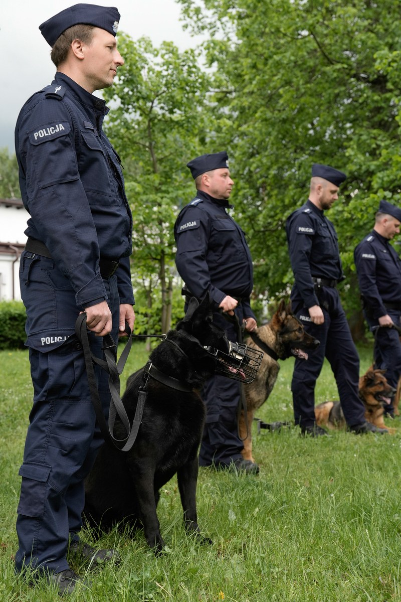 Policyjne psy przechodzą na emeryturę /Komenda Wojewódzka Policji w Krakowie /