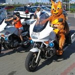 Policyjny "gang" motocyklowy