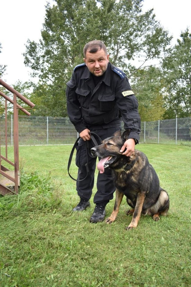 Policyjny pies Ogi /Mazowiecka Policja /Materiały prasowe