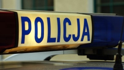 Policyjny pościg koło Cedyni. Polscy i niemieccy funkcjonariusze zatrzymali złodzieja