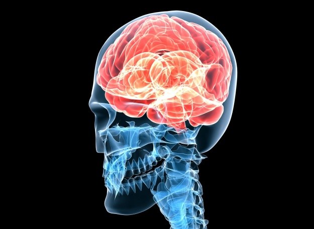 Polimerowe implanty naprawią uszkodzony mózg? /123RF/PICSEL