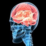 Polimerowe implanty odbudują uszkodzony mózg