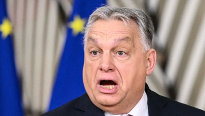 Polityka ostra jak gulasz. Sikorski "uhonorował" Orbana Orderem Lenina