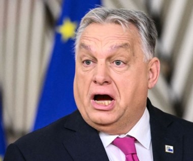 Polityka ostra jak gulasz. Sikorski "uhonorował" Orbana Orderem Lenina