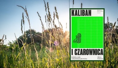 Półka Ekonomiczna#13: To kapitaliści palili czarownice na stosach