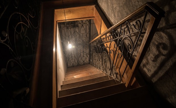 Polka przez lata była więziona w piwnicy. Uratował ją międzynarodowy znak