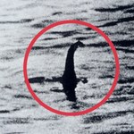 Polowanie na potwora z Loch Ness. Ruszają największe od 50 lat poszukiwania