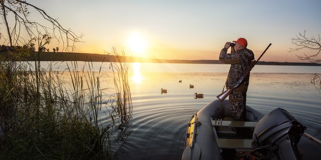 ​Do tych ptaków myśliwi nie będą mogli strzelać. 7 gatunków na liście