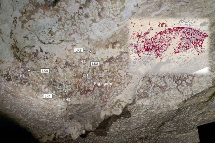 Polowanie na świnie sprzed 51,2 tys. lat. To najstarsza "zapisana" historia