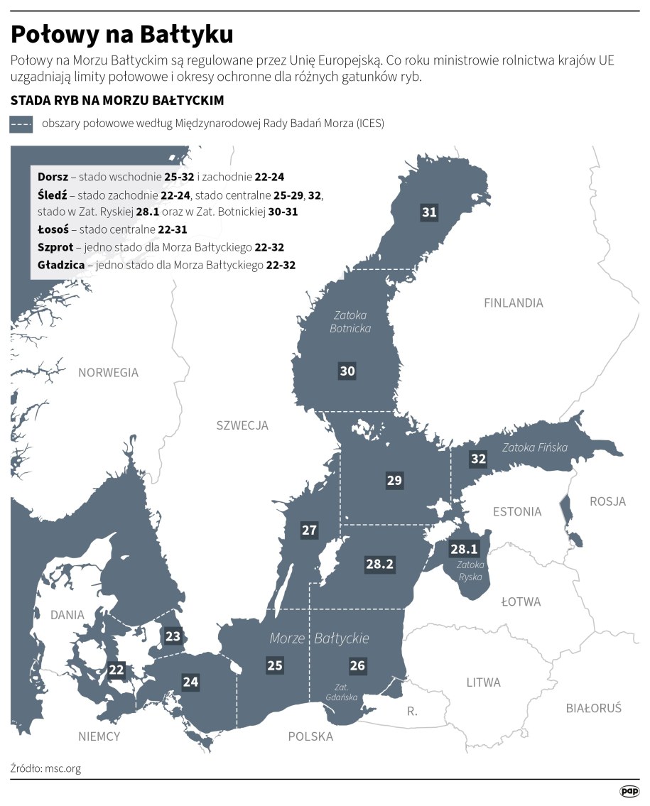 Połowy na Bałtyku /	Michał Czernek , Adam Ziemienowicz