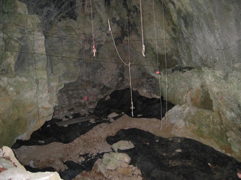 Położona w Niemczech jaskinia Geissenkloesterle zasłynęła znaleziskiem wykonanych ze zwierzęcych kości struktur, w których rozpoznano pierwsze instrumenty muzyczne /WikimediaCommons /domena publiczna