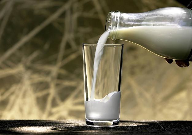 Polsce grożą unijne kary w wysokości ok. 1,2 zł za każdy litr mleka ponad limit /AFP