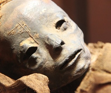 Polscy badacze znaleźli ślady nowotworu w mumii sprzed 2 tysięcy lat