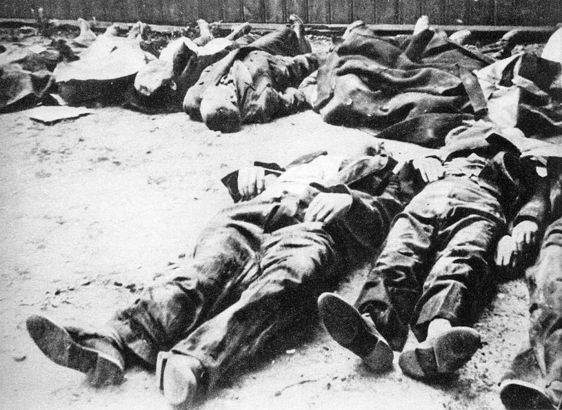 Polscy cywile zamordowani na warszawskiej Woli (fot. Miasto Nieujarzmione, Warszawa: Iskry, 1957) /Wikimedia