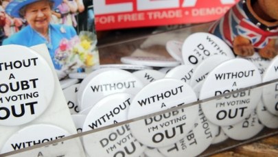 Polscy imigranci ręki do Brexitu nie przyłożyli