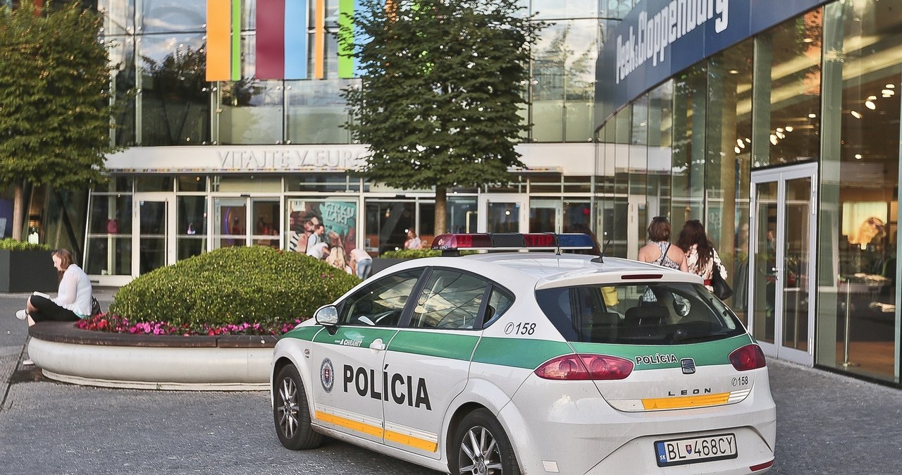 Polscy kierowcy nie wspominają spotkań ze słowacką policją dobrze /Piotr Jędzura /Reporter