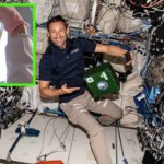 Polscy naukowcy odkryli dziwne zmiany w glonach, które wróciły z ISS