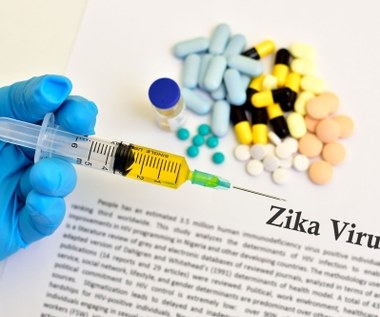 Polscy naukowcy opracowali prototyp szczepionki przeciwko wirusowi Zika
