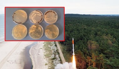 Polscy naukowcy wyślą mikroorganizmy w kosmos. Czy to zmieni eksplorację innych planet?
